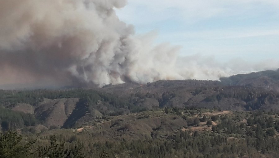 Conaf: Activos se mantienen cinco incendios forestales en la región de Valparaíso