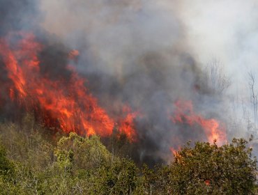 Resumen nacional de incendios forestales: 10 siniestros se encuentran activos