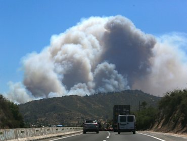 Cinco incendios forestales se mantienen activos en Valparaíso: se han quemado casi 3.500 hectáreas