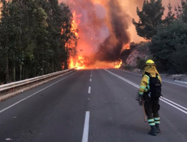 Quintay: Agresivo rebrote mantiene en completo descontrol incendio forestal en el fundo Las Tablas