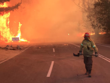 Seis de los 11 incendios forestales activos en el país se concentran en la región de Valparaíso