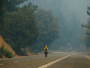 Intendencia interpuso 10 querellas criminales por incendios forestales en la región de Valparaíso