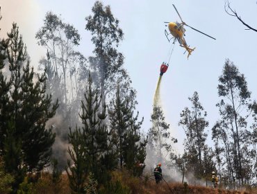 Tres incendios forestales se encuentran activos en la región de Valparaíso: tres fueron controlados y dos extinguidos