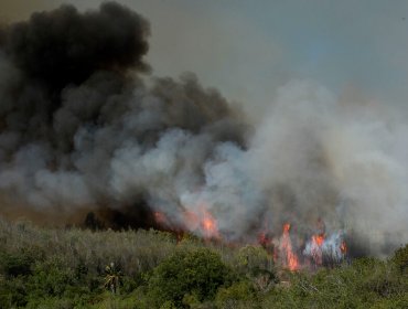 Resumen nacional de incendios forestales: 10 siniestros se encuentran activos