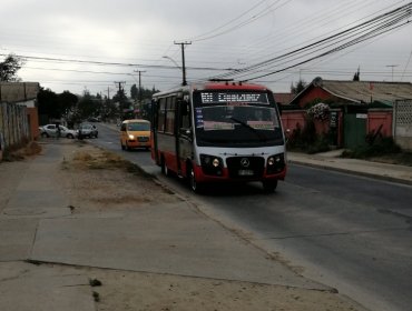 Dirigente confirma que sólo un 30% de buses prestan servicio en calles de la provincia de Marga Marga