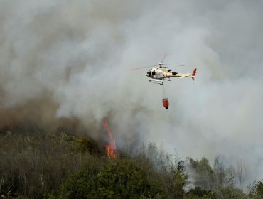 Resumen nacional de incendios forestales: 4 siniestros se encuentran activos