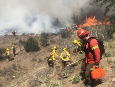 Por incendios forestales, Conaf mantendrá cerrada la administración de la Reserva Lago Peñuelas