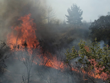 Sólo el incendio forestal entre Valparaíso y Casablanca se mantiene activo en la región