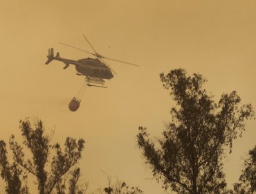 Onemi mantiene alerta roja para incendios forestales en Valparaíso y Casablanca