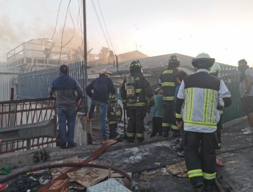 Incendios, saqueos y destrucción: síntesis de una violenta jornada de manifestaciones en San Antonio