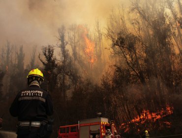 Activo se mantiene el incendio forestal que ha afectado a sector Las Tablas y Lago Peñuelas