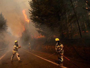 Incendio forestal a un costado de la ruta 68 obliga a decretar Alerta Roja en la comuna de Valparaíso