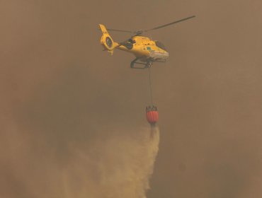 Controlado se encuentra el incendio forestal que afecta un costado de la ruta 68