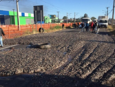 Desconocidos intimidan a transportista y lo obligan a vaciar su carga de sardinas en ruta a Coronel