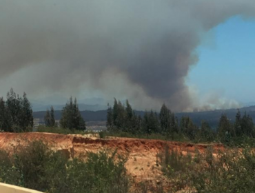 Incendio forestal declarado se registra nuevamente en el fundo Las Tablas de Valparaíso