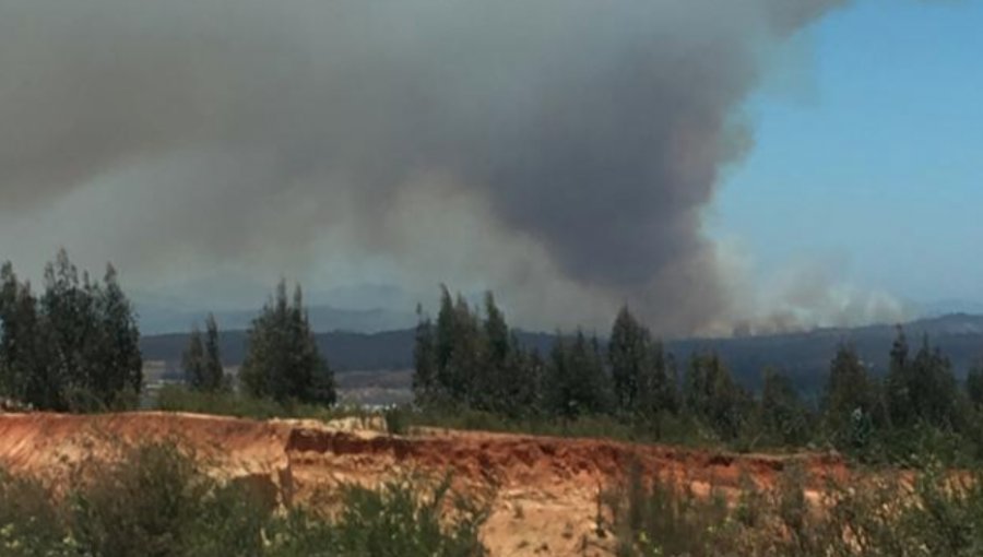 Incendio forestal declarado se registra nuevamente en el fundo Las Tablas de Valparaíso