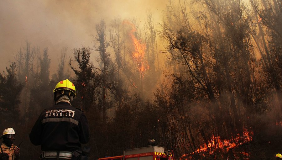 Activo se mantiene el incendio forestal que ha afectado a sector Las Tablas y Lago Peñuelas