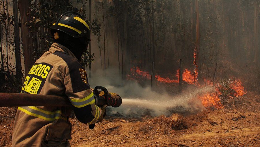 Incendio forestal en fundo Las Tablas y Reserva Lago Peñuelas ha consumido más de 238 hectáreas