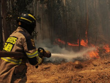 Incendio forestal en fundo Las Tablas y Reserva Lago Peñuelas ha consumido más de 238 hectáreas