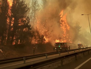 Incendio forestal en fundo Las Tablas y Reserva Lago Peñuelas de Valparaíso se mantiene activo