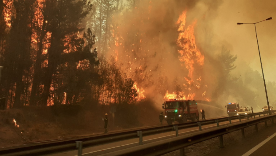 Incendio forestal en fundo Las Tablas y Reserva Lago Peñuelas de Valparaíso se mantiene activo