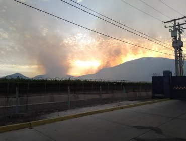 Decretan Alerta Roja para la comuna de Pudahuel por incendio forestal