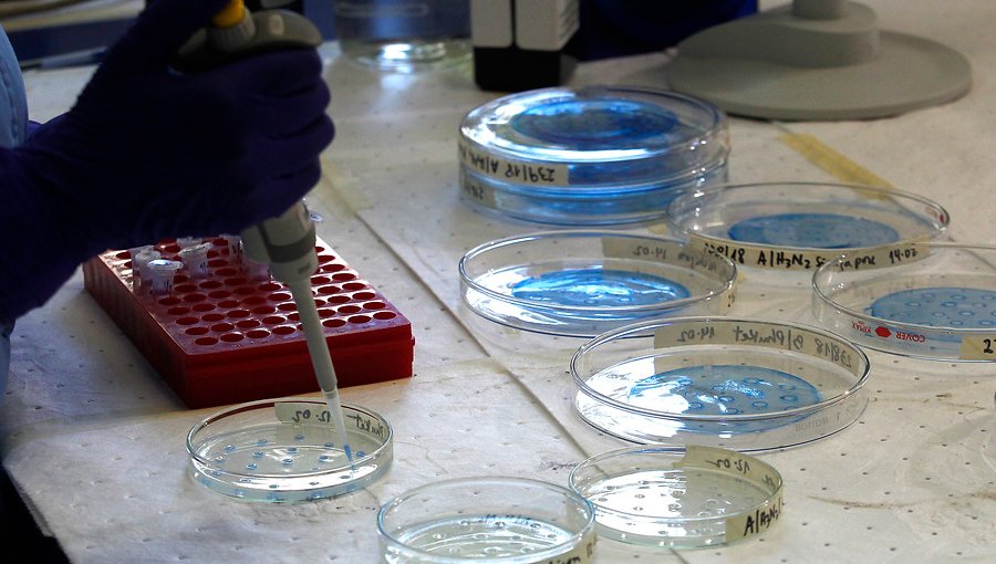 Instituto de Salud Pública advierte sobre aumento de reacciones adversas a antibióticos más vendidos