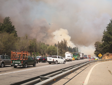 Valparaíso: Reportan nuevos focos de incendio forestal entre la ruta 68 y el cruce Quintay