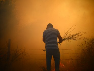 Incendio en Requinoa amenaza torres de alta tensión y antenas telecomunicaciones