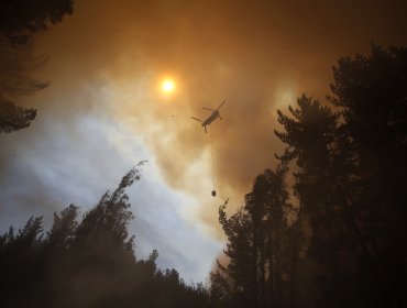 Incendio forestal consume más de 80 hectáreas de arbustos en Pirque