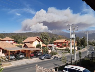 Pirque: Activo se mantiene incendio forestal "Puente El Toyo" que ha consumido 98 hectáreas