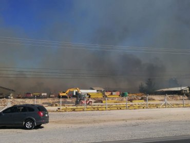 Decretan Alerta Roja para la comuna de Las Cabras por incendio forestal que amenaza sectores habitados