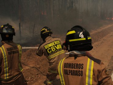 Valparaíso se mantiene con Alerta Roja por incendio forestal que cumplirá una semana activo