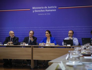 Gobierno espera para el 20 de diciembre un primer informe sobre a actuar de Carabineros respecto a DD.HH.