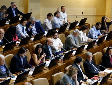 Cámara de Diputados aprueba aumento gradual de pensiones básicas solidarias