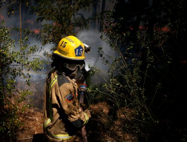 Incendio forestal en la reserva Lago Peñuelas de Valparaíso cumple una semana activo