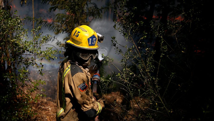 Incendio forestal en la reserva Lago Peñuelas de Valparaíso cumple una semana activo