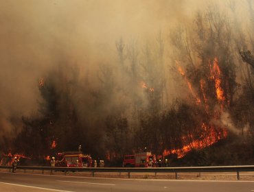 Por amenaza de incendio forestal, Onemi mantiene Alerta Temprana Preventiva en la región de Valparaíso