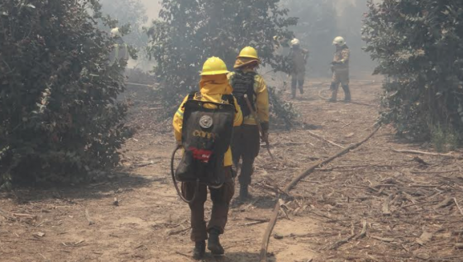 El plan de contingencia de Conaf para enfrentar posibles incendios forestales en Lo Vásquez