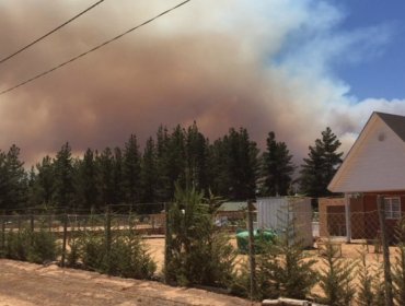 Activo se mantiene incendio forestal que afecta a El Quisco, Algarrobo y Casablanca