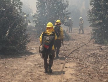 El plan de contingencia de Conaf para enfrentar posibles incendios forestales en Lo Vásquez