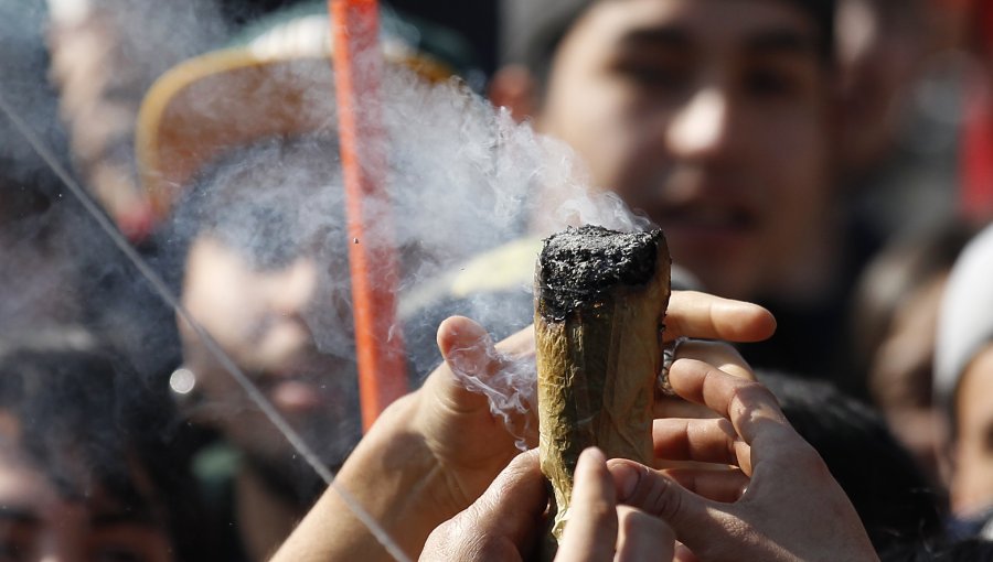 Por primera vez desde 2010 consumo de marihuana cae en el país
