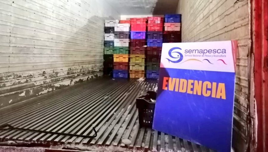 Sernapesca incauta más de 7 mil recursos pesqueros trasladados ilegalmente