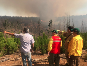 Amplían Alerta Roja a Valparaíso y Viña del Mar por incendio forestal cercano a zona residencial