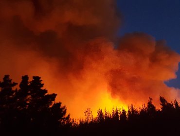 Extienden la Alerta Temprana para la región de Valparaíso por amenaza de incendio forestal