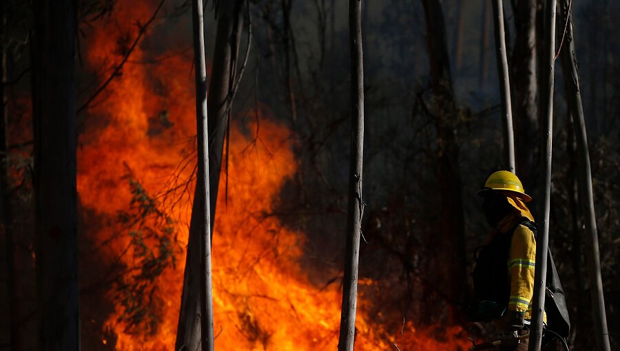 Incendio forestal en Placilla continúa activo y ha consumido 200 hectáreas