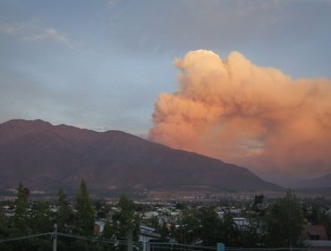 Incendio forestal de intensidad alta afecta al sector El Canelo del Cajón del Maipo