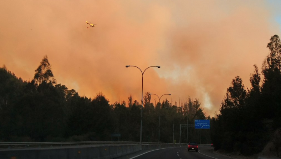 Activos siguen los dos focos de incendio forestal en Valparaíso y Viña del Mar: se mantiene la Alerta Roja