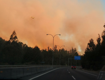 Activos siguen los dos focos de incendio forestal en Valparaíso y Viña del Mar: se mantiene la Alerta Roja