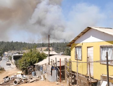 Incendio forestal en Valparaíso y Viña: Bomberos destaca que el viento se proyecte en dirección contraria a viviendas